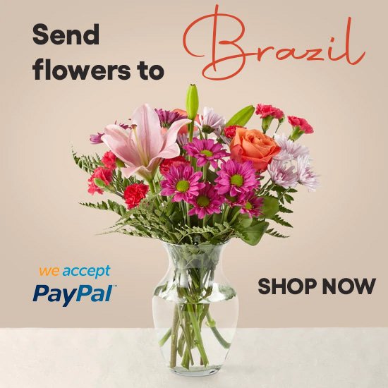 Brazil Flower Shop