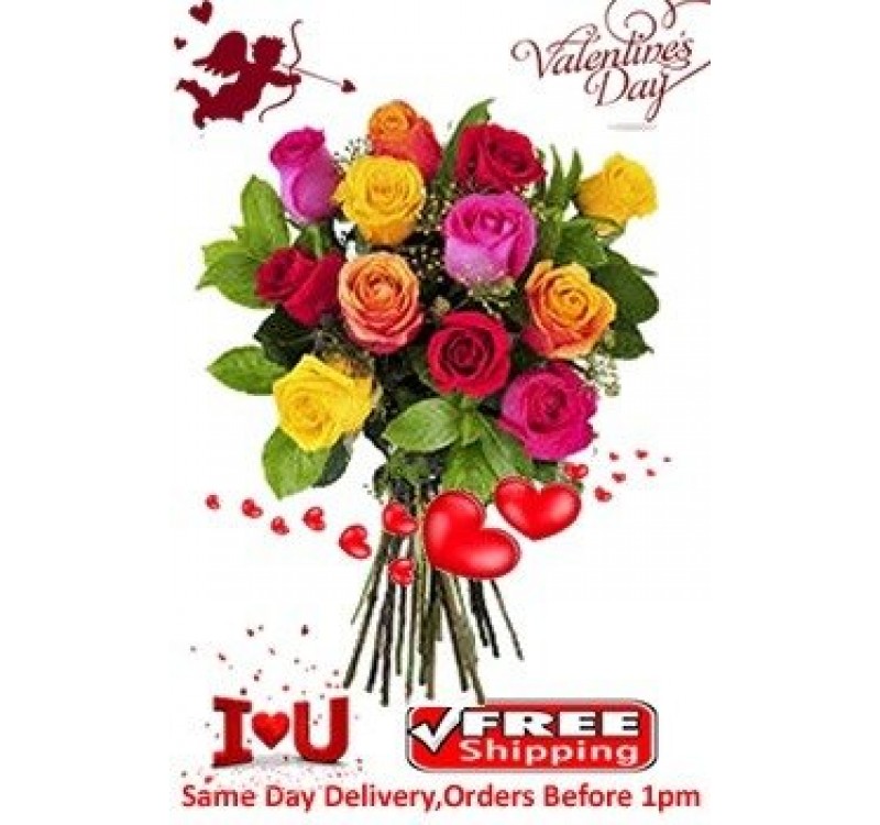12 Mix Roses Valentines