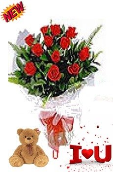 12 Red Roses & Teddy 