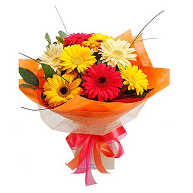 Gerbera Bouquet  Porto Alegre