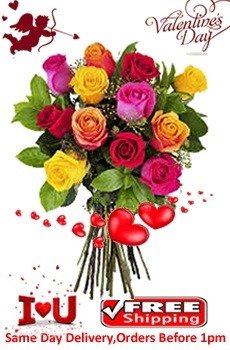 12 Mix Roses Valentines